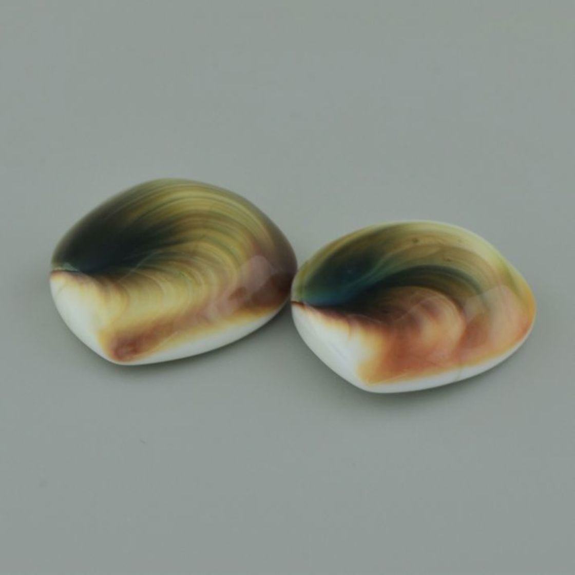 Operculum Duo Tropfen multicolor 55,04 ct