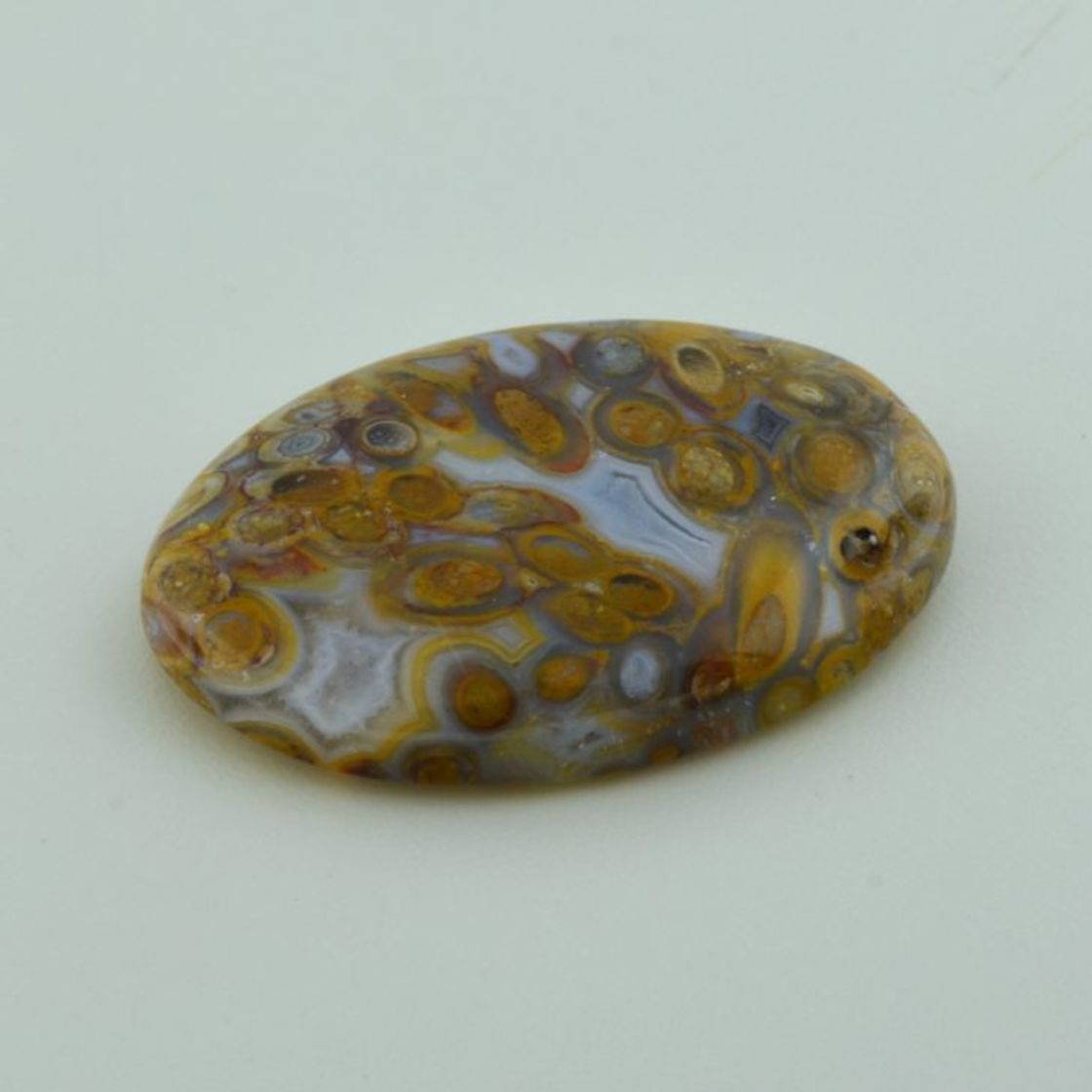 Fossilien Cabochon oval 49,61 ct