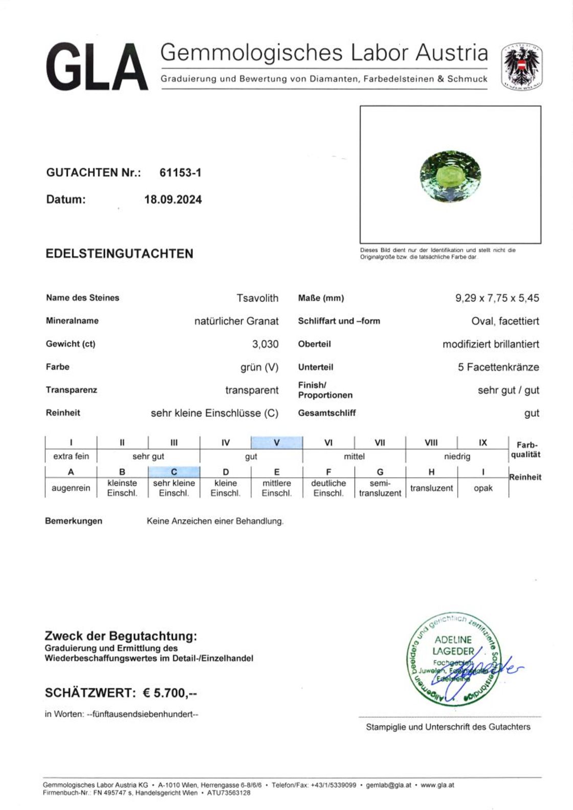 Gutachten zu Tsavorite Garnet oval green 3.03 ct.