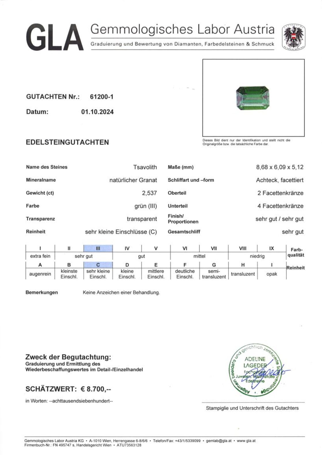 Gutachten zu Tsavorit Granat octagon intensives Grün 2,53 ct.