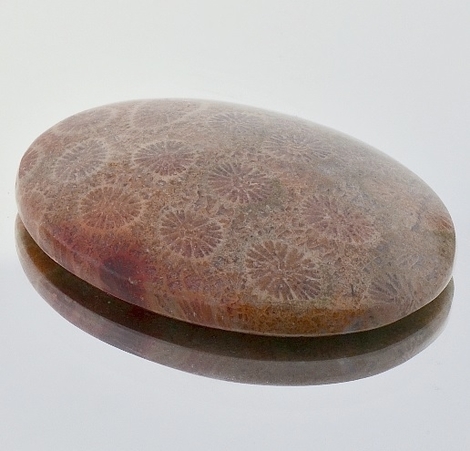 Fossils oval 57.45 ct Fossils oval 57.45 ct