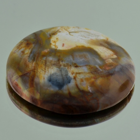 Versteinertes Holz Cabo rund 67,45 ct Versteinertes Holz Cabo rund 67,45 ct