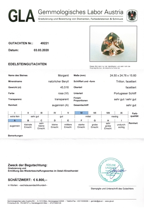 Gutachten zu Morganit Trillion 45,51 ct