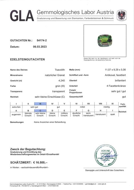 Gutachten zu Tsavorite Garnet cushion intensivgrün 4.24 ct