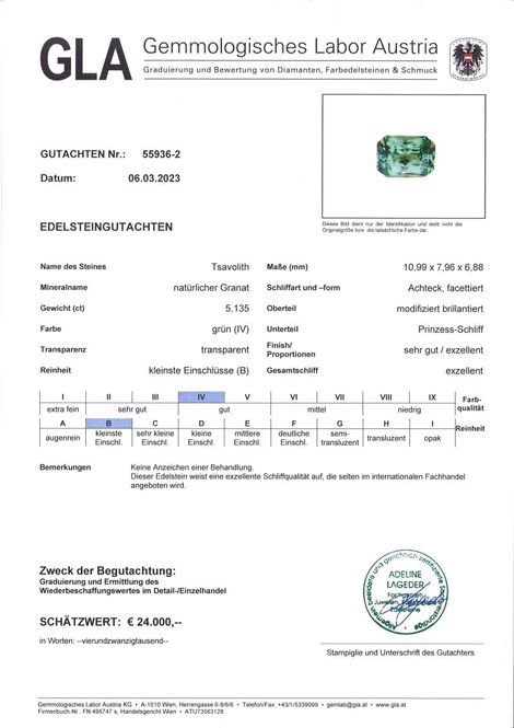 Gutachten zu Tsavorit Granat octagon-princess grün 5,13 ct