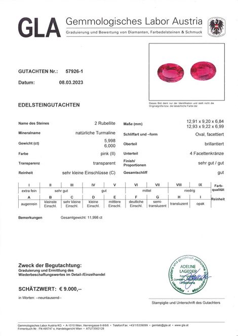 Gutachten zu Rubellite Pair Turmaline oval reddish pink 11.99 ct