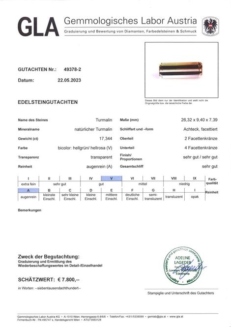 Gutachten zu Bicolor-Turmalin octagon hellrosa-hellgrün 17,34 ct