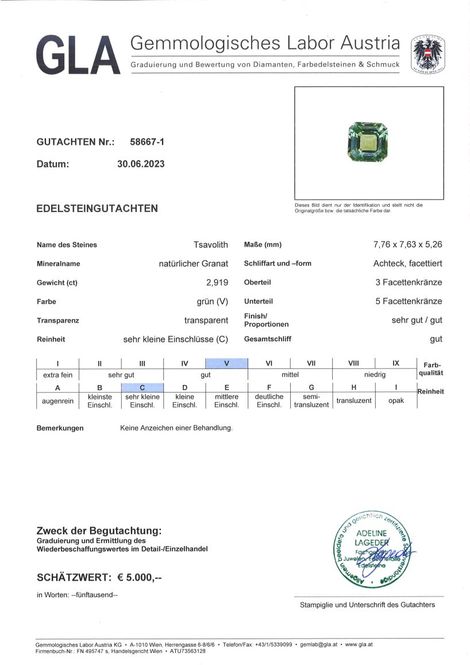 Gutachten zu Tsavorite Garnet octagon green 2.91 ct.