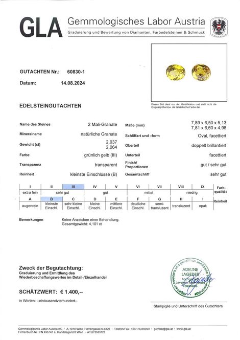 Gutachten zu Mali-Granat Duo oval grünlich gelb 4,10 ct