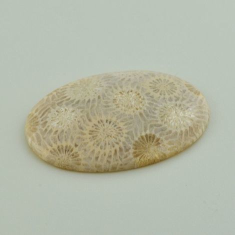 Fossilien Cabochon oval beige 39,93 ct