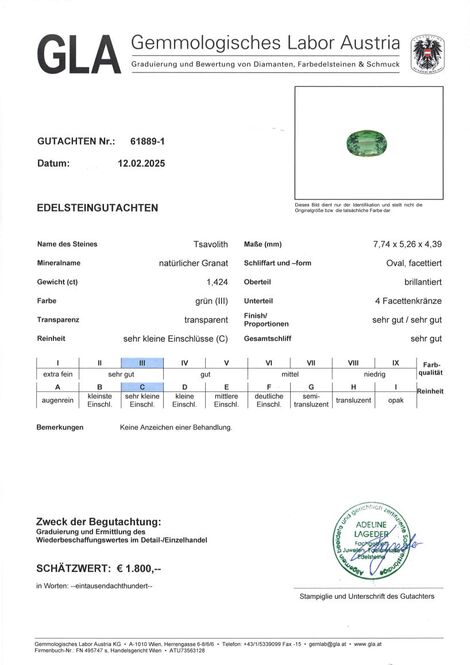 Gutachten zu Tsavorite Garnet oval intense green 1.42 ct.