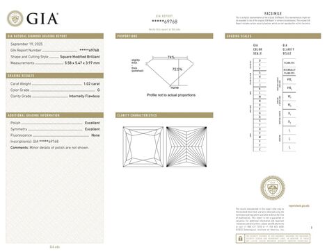 Gutachten zu Diamond princess feines white G loupe clean 1.02 ct