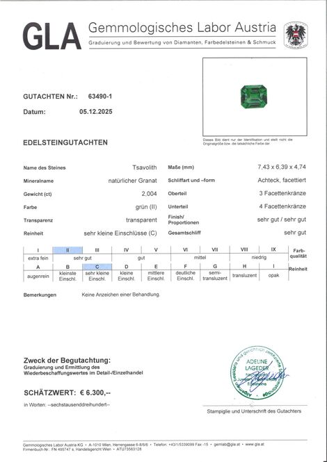 Gutachten zu Tsavorite Garnet octagon intense green 2.00 ct.