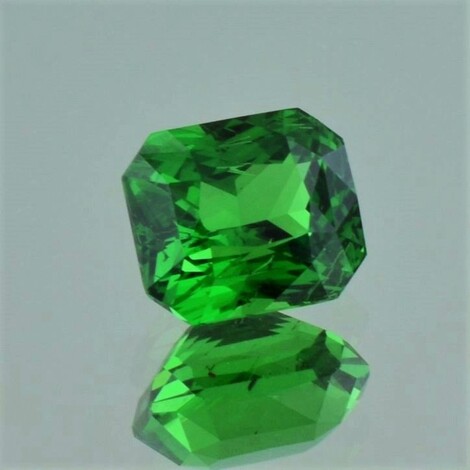 Tsavorite Garnet octagon-princess intense green 3.54 ct