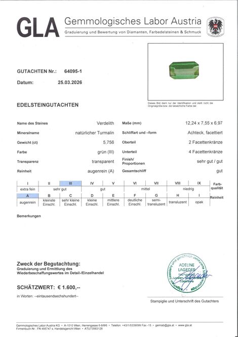 Gutachten zu Green Tourmaline Tourmaline octagon green 5.75 ct.