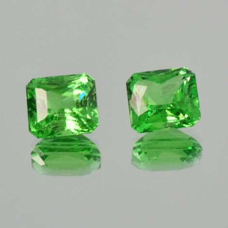 Tsavorite Pair Granate octagon-princess green 7.40 ct.