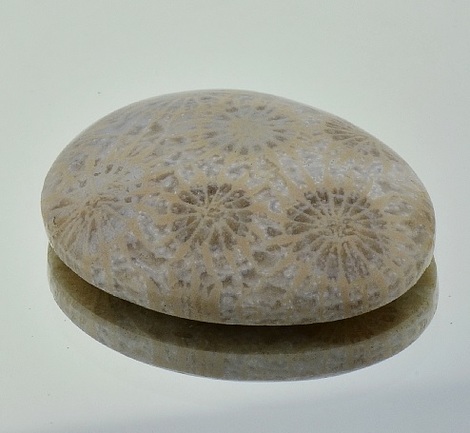 Fossils Fantasy 39.48 ct Fossils Fantasy 39.48 ct