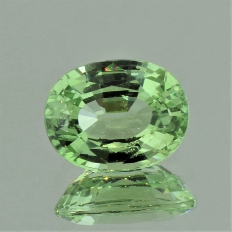 Garnet Grossularite oval light green 4.11 ct Garnet Grossularite oval light green 4.11 ct