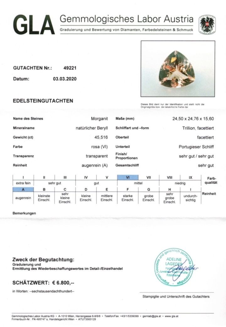 Gutachten zu Morganit Trillion 45,51 ct