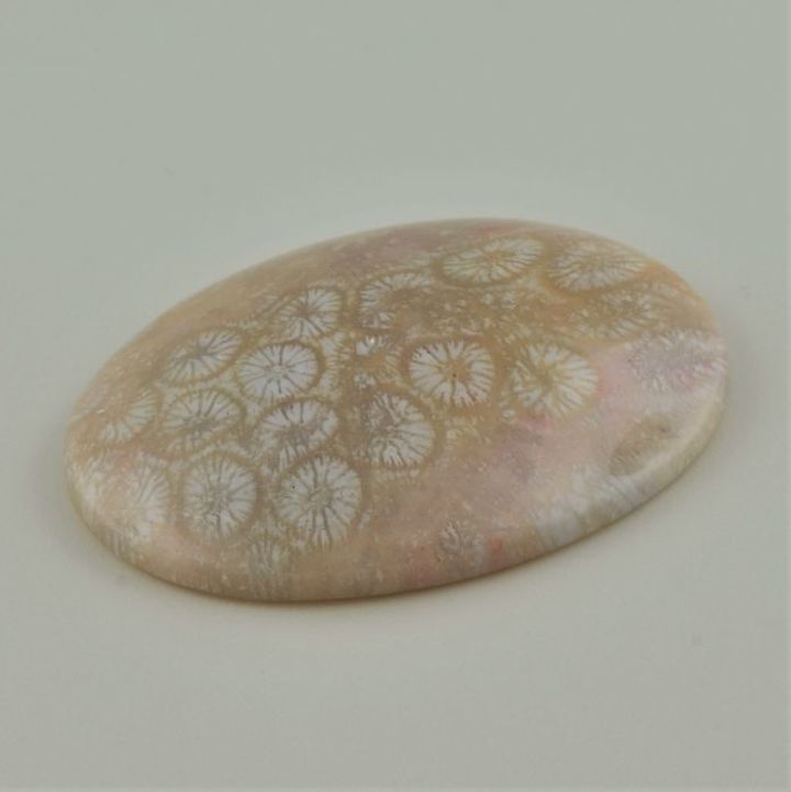 Versteinerte Korallen Cabochon oval beige 68,07 ct