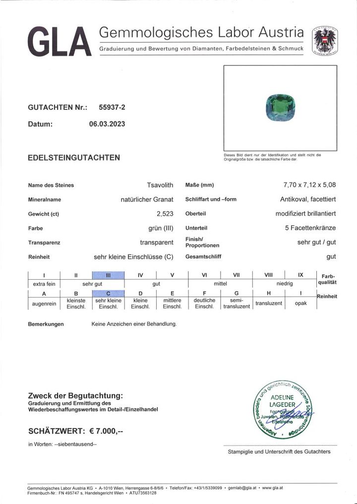 Gutachten zu Tsavorite Garnet cushion intensivgrün 2.52 ct