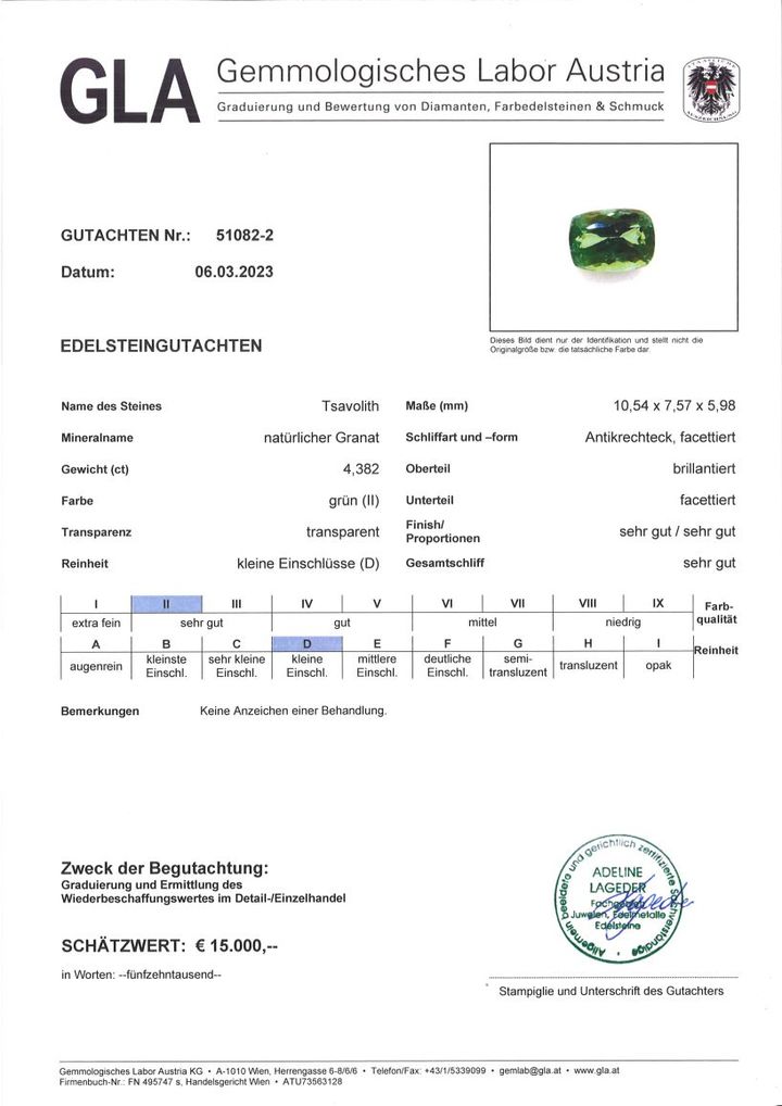 Gutachten zu Tsavorite Garnet cushion intense grass green 4.38 ct