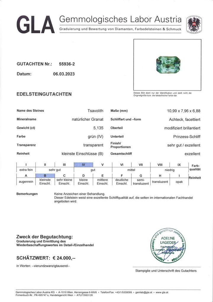 Gutachten zu Tsavorite Garnet octagon-princess green 5.13 ct