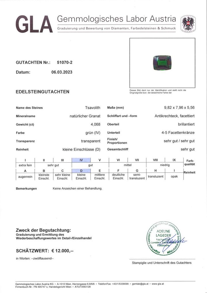 Gutachten zu Tsavorite Garnet cushion green 4.06 ct.