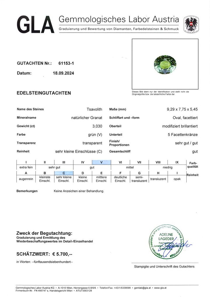 Gutachten zu Tsavorite Garnet oval green 3.03 ct.