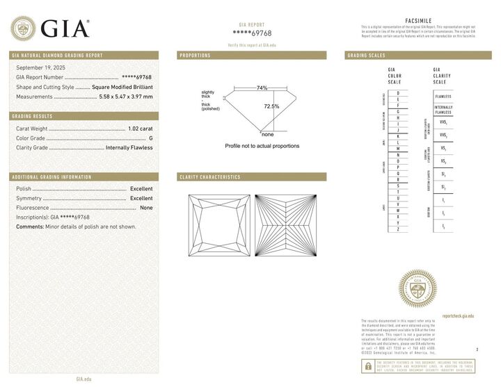 Gutachten zu Diamond princess feines white G loupe clean 1.02 ct