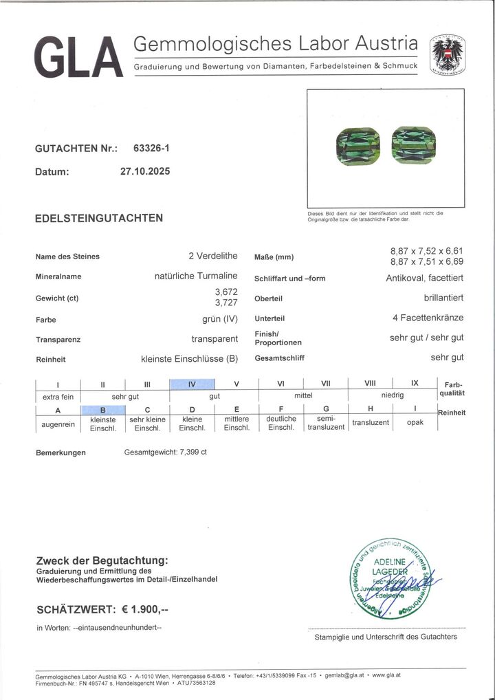 Gutachten zu Green Tourmaline Pair Tourmalines cushion green 7.39 ct.