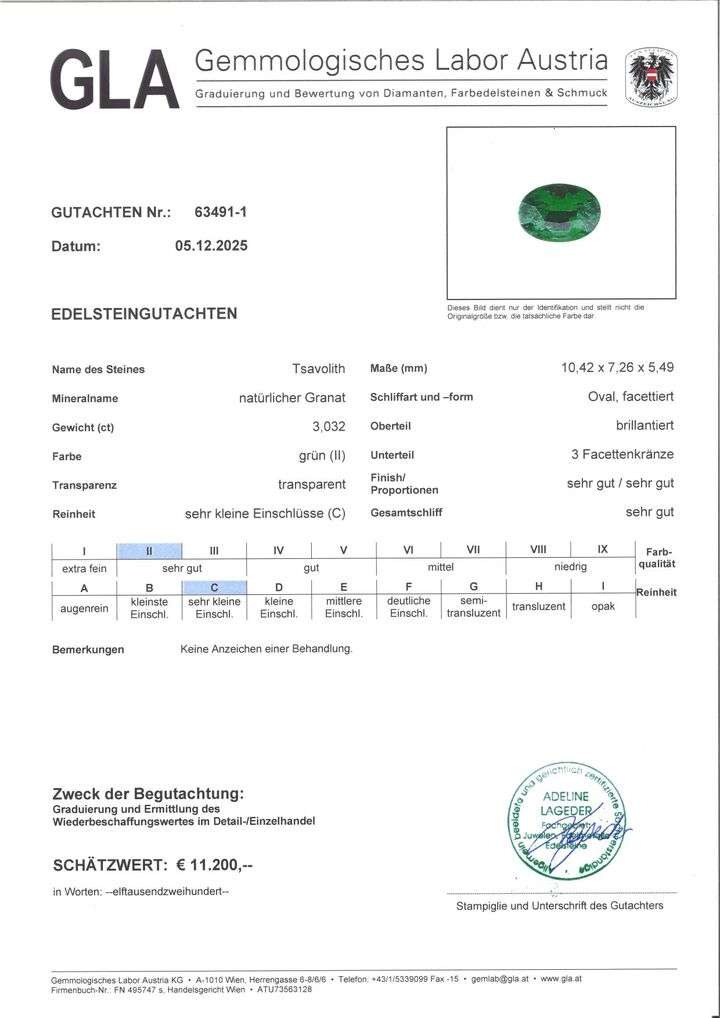 Gutachten zu Tsavorite Garnet oval intense green 3.03 ct.