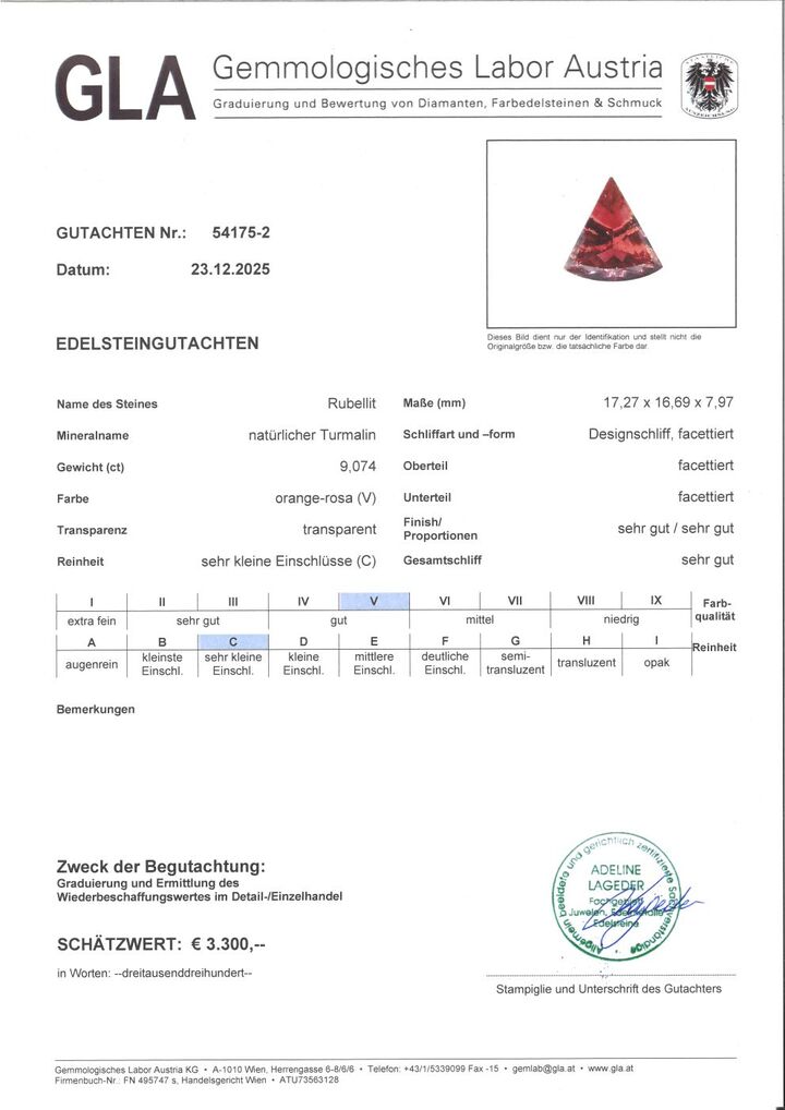 Gutachten zu Rubellite Tourmaline Design-Trillion 9.07 ct