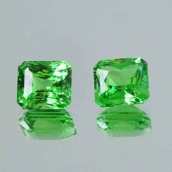 Tsavorite Pair Granate octagon-princess green 7.40 ct.