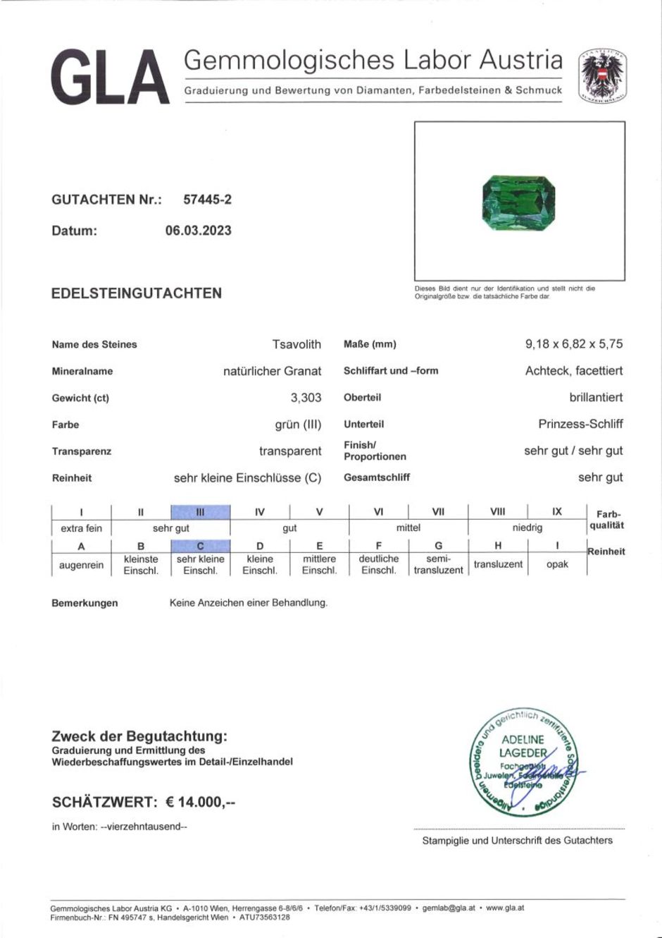 Gutachten zu Tsavorite Garnet octagon intense green 3.30 ct