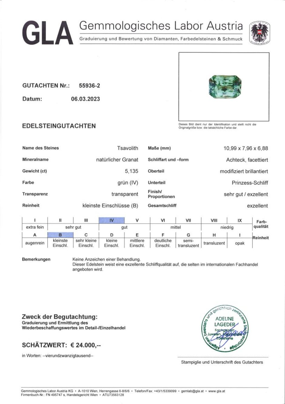 Gutachten zu Tsavorit Granat octagon-princess grün 5,13 ct