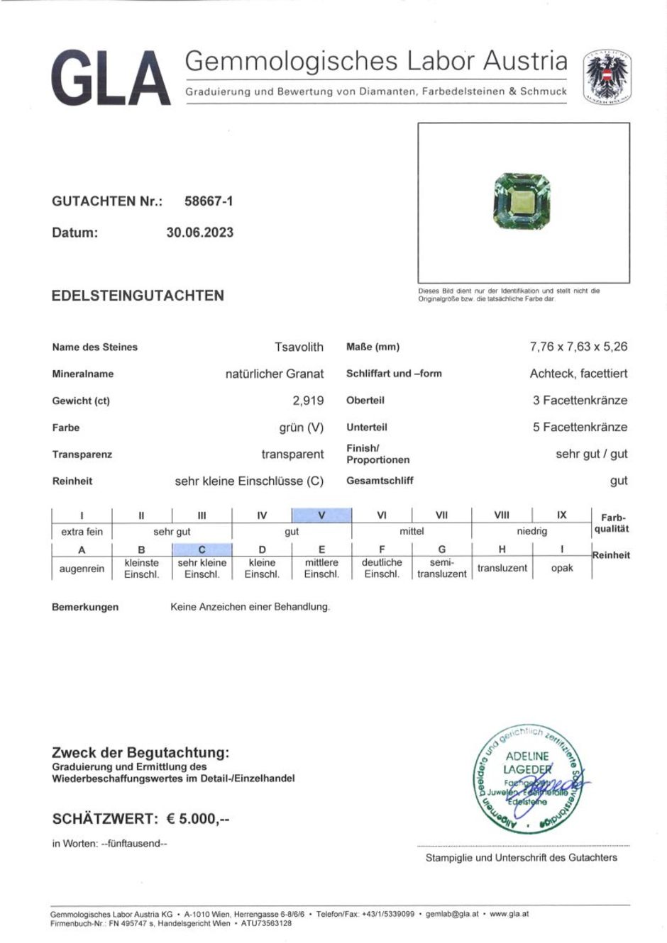 Gutachten zu Tsavorite Garnet octagon green 2.91 ct.