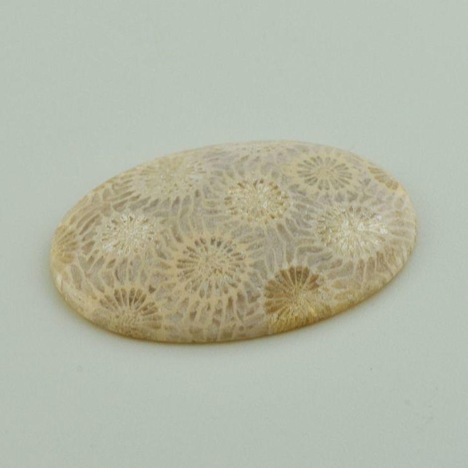 Fossils cabochon oval beige 39.93 ct