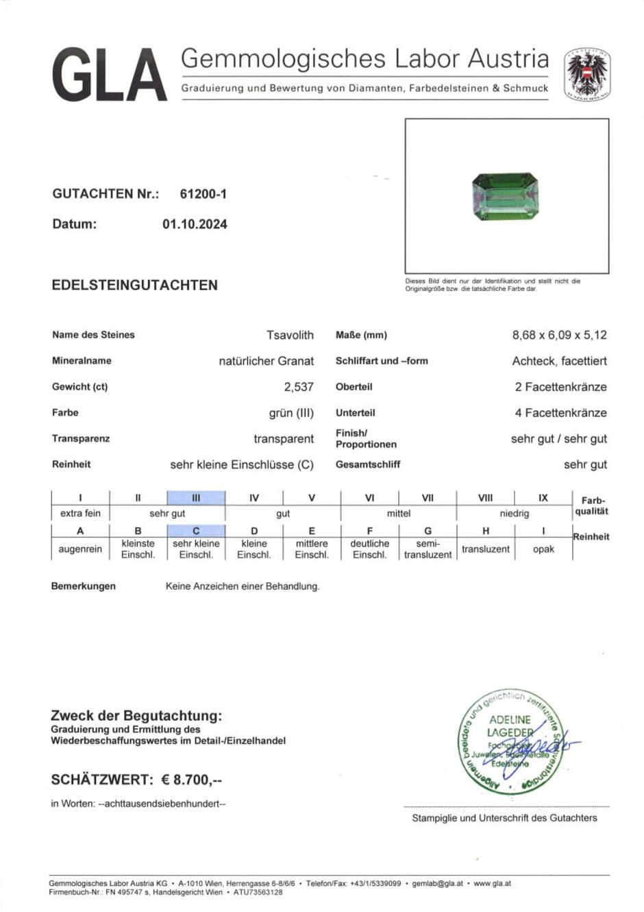 Gutachten zu Tsavorit Granat octagon intensives Grün 2,53 ct.